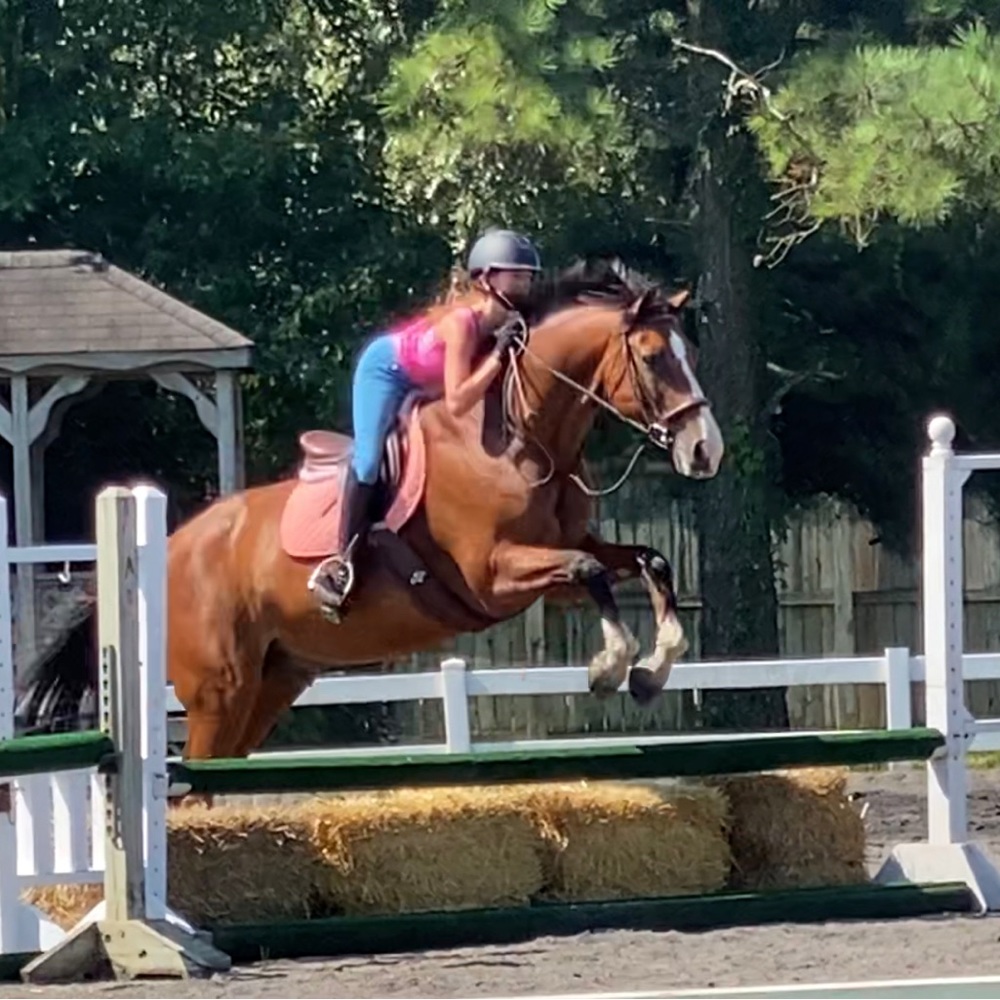 Meet your Posher, Juju